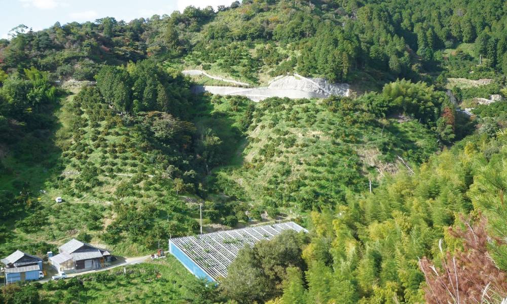 寺尾果樹園の写真