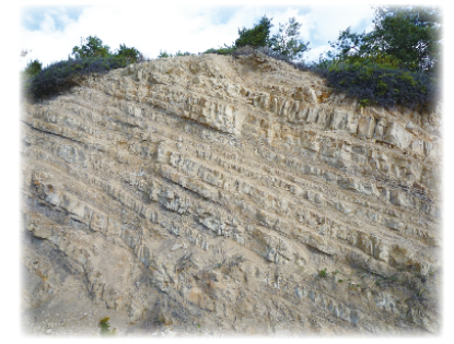 果樹園の地層いずみ砂岩の写真