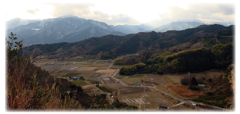 寺尾果樹園の写真